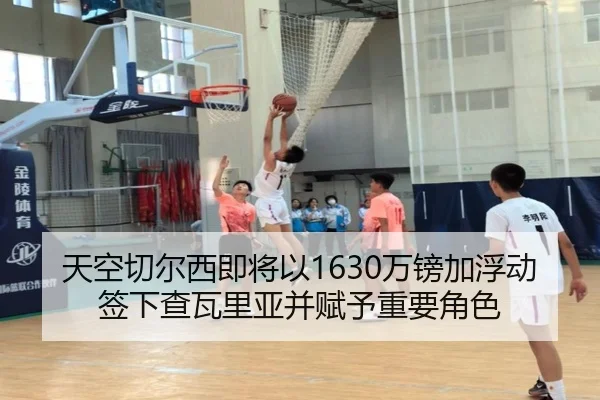 天空切尔西即将以1630万镑加浮动签下查瓦里亚并赋予重要角色